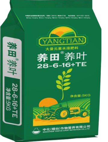 點(diǎn)擊查看大圖