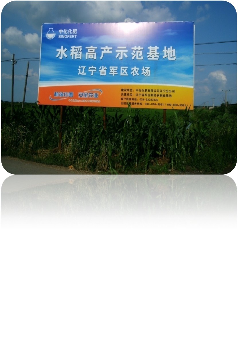 點(diǎn)擊查看大圖