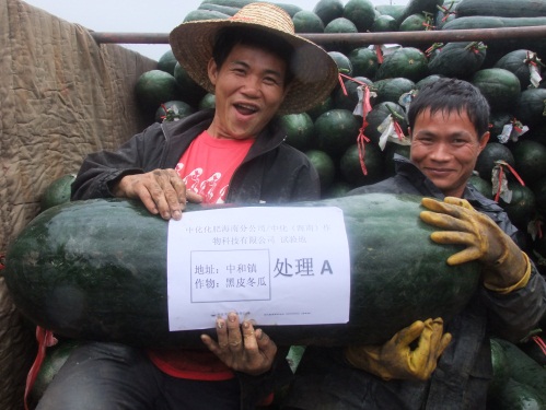 點(diǎn)擊查看大圖