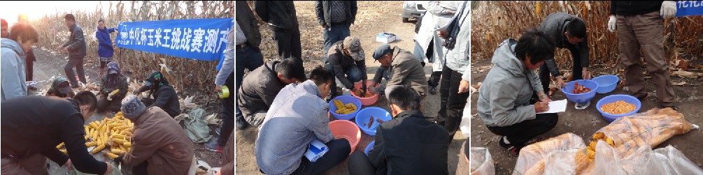 點(diǎn)擊查看大圖