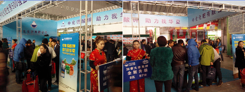 點(diǎn)擊查看大圖