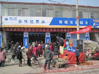 點(diǎn)擊查看大圖