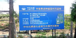 點(diǎn)擊查看大圖