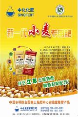 點(diǎn)擊查看大圖
