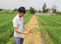 點(diǎn)擊查看大圖