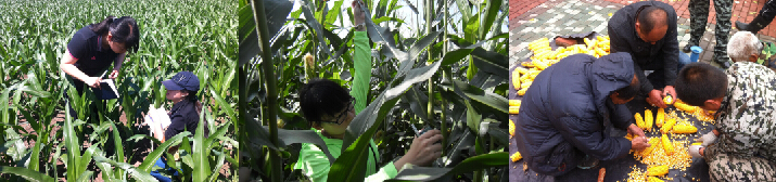 點(diǎn)擊查看大圖
