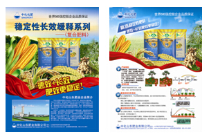 點(diǎn)擊查看大圖