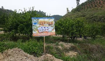 點(diǎn)擊查看大圖