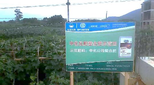 點(diǎn)擊查看大圖