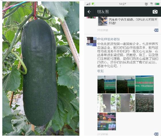 點(diǎn)擊查看大圖