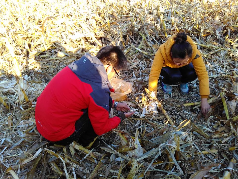 點(diǎn)擊查看大圖