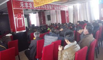 點擊查看大圖