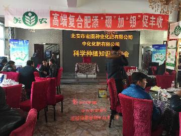 點擊查看大圖